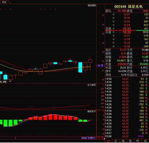 国星光电(002449)个股分析