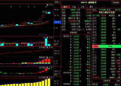 建新股份(300107)个股资金流向查询