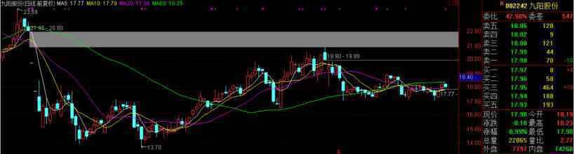 九阳股份(002242)个股资金流向查询