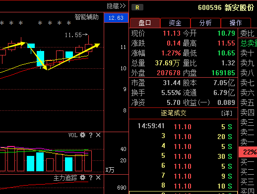 600596，新安股份股票吧