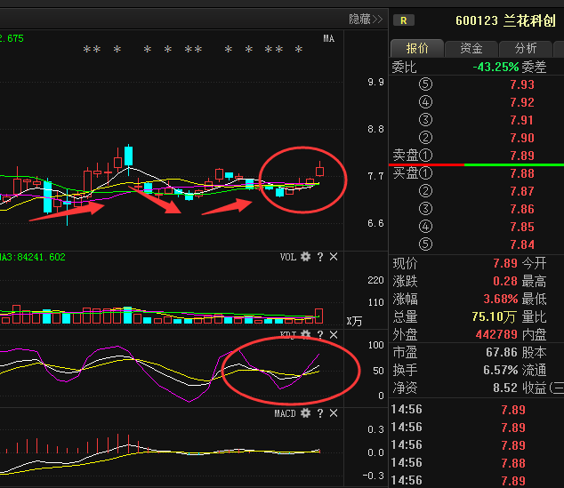 兰花科创(600123)个股资金流向查询