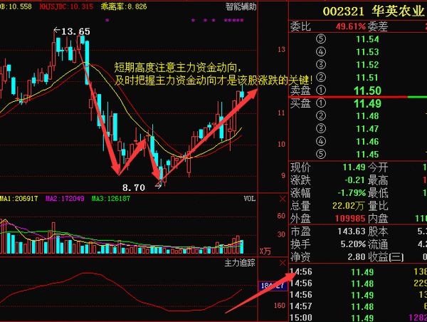 华英农业(002321)资金流向