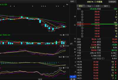 三丰智能(300276)股票最新价格行情,实时走势图,股价分析预测