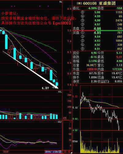 亚盛集团(600108)个股资金流向查询