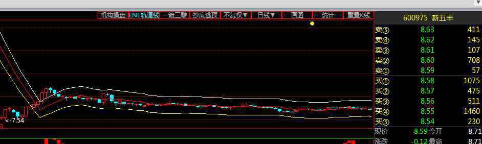 新五丰(600975)资金流向